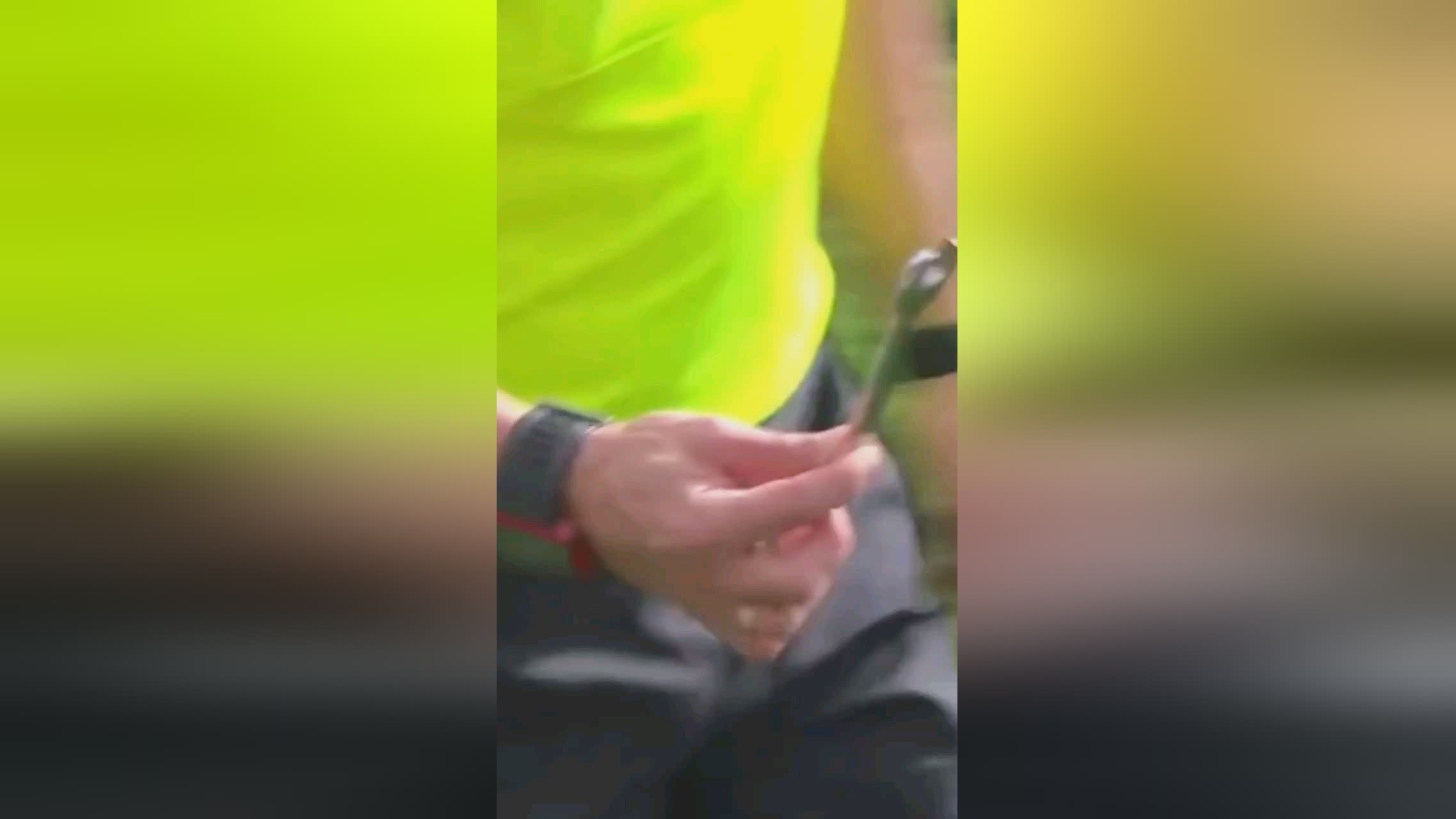 的细致沟