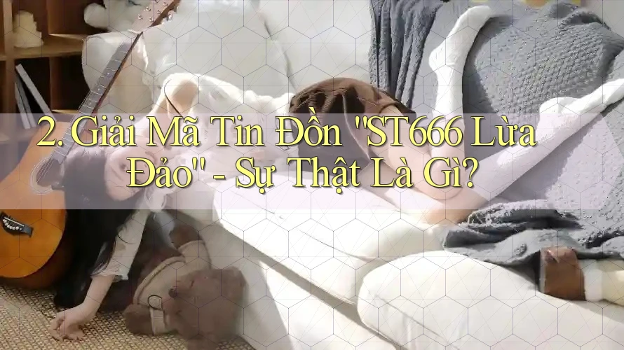 2. Giải Mã Tin Đồn “ST666 Lừa Đảo” - Sự Thật Là Gì?