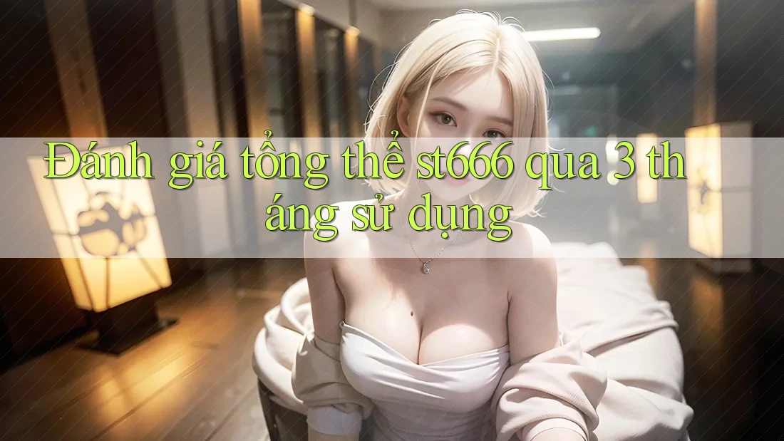 Đánh giá tổng thể st666 qua 3 tháng sử dụng
