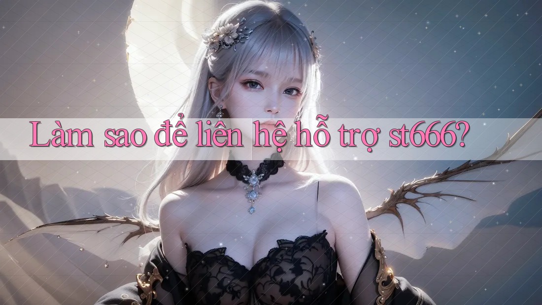 Làm sao để liên hệ hỗ trợ st666?