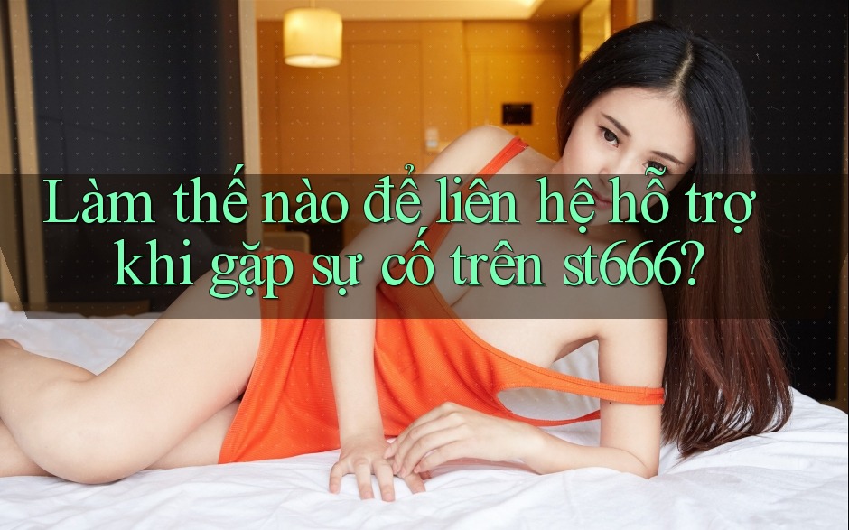 Làm thế nào để liên hệ hỗ trợ khi gặp sự cố trên st666?