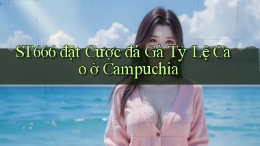 st666  đặt cược đá gà tỷ lệ cao ở campuchia