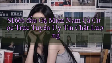 st666  đấu gà miền nam cá cược trực tuyến uy tín chất lượng