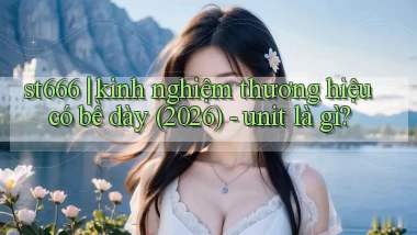 st666 kinh nghiệm thương hiệu có bề dày (2026)   unit là gì